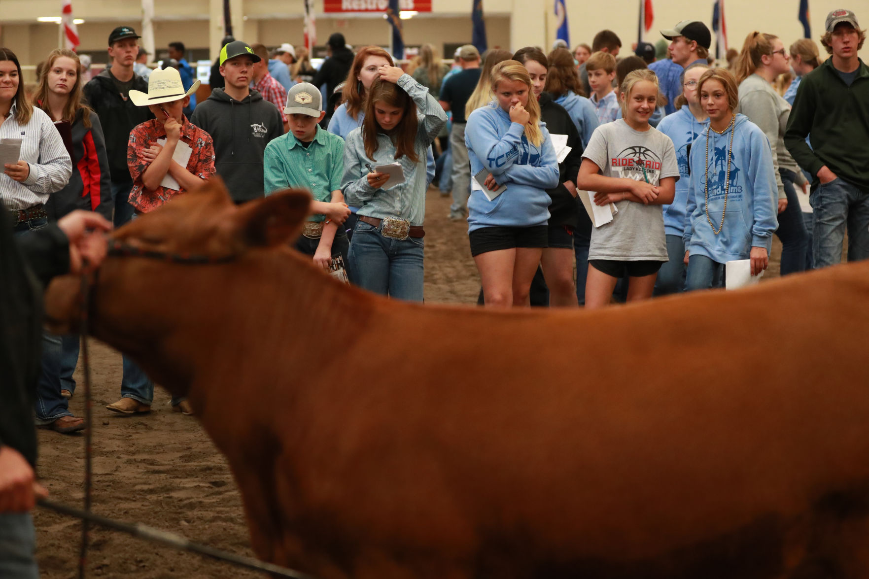 061819_RedAngusJudging13_bjs.JPG